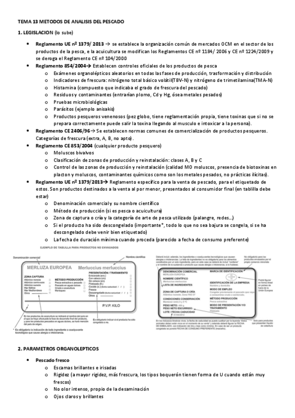 Miniatura del documento TEMA-13-REGLAMENTACION.pdf
