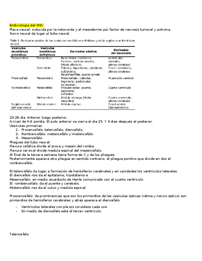 Miniatura del documento Primer-parcial-completo.docx