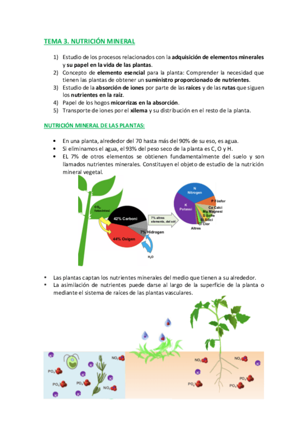 Miniatura del documento TEMA-3-C-.pdf