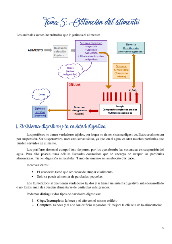 Miniatura del documento Tema-5.pdf