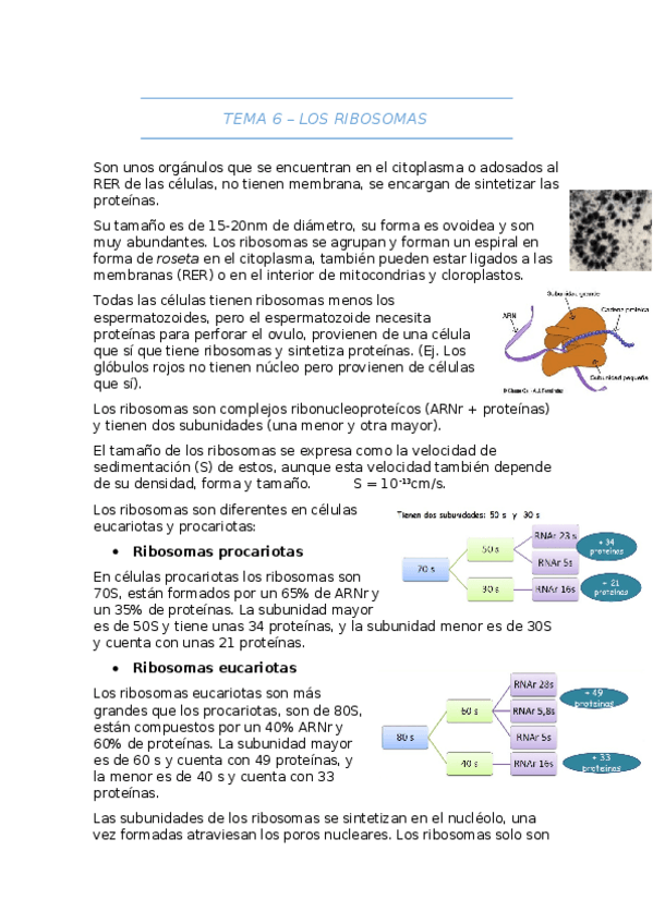 Miniatura del documento T.docx