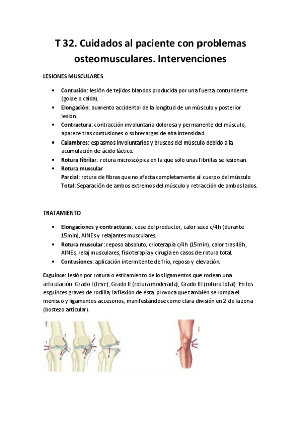 Miniatura del documento T 32. Cuidados al paciente con problemas osteomusculares. Intervenciones.pdf