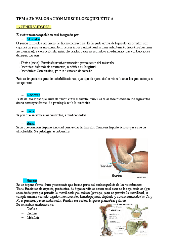 Miniatura del documento tema 31 clínicaVALORACION OSTEOMUSCULAR.pdf