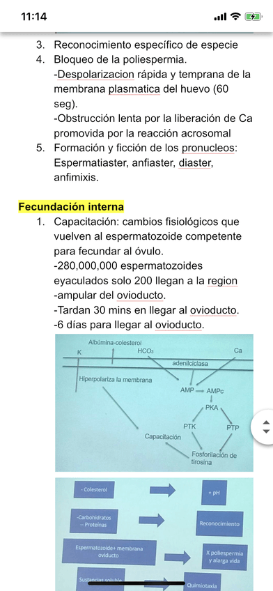 Miniatura del documento E35BA8F2-B1C5-4822-A06A-6E825FC4D3B3.png