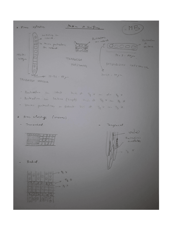 Miniatura del documento PRACTICA-2-LABORATORIO-DIBUJO.pdf