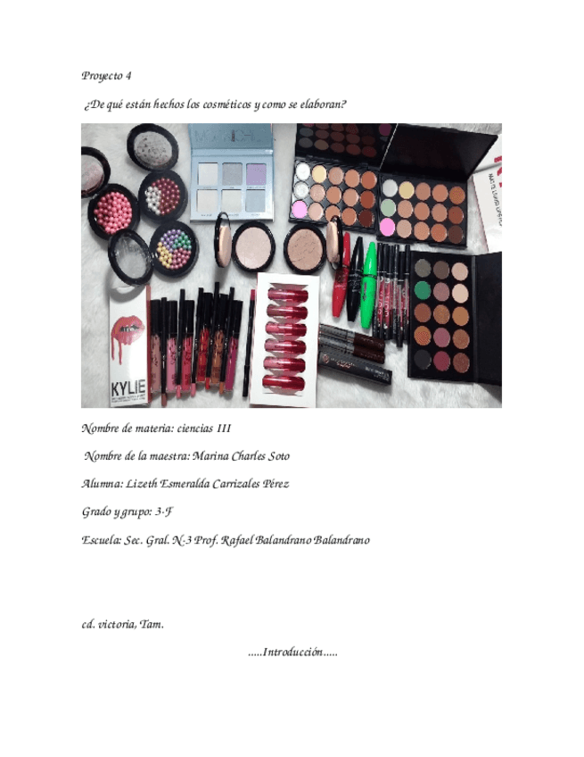 Miniatura del documento Proyecto-4.docx