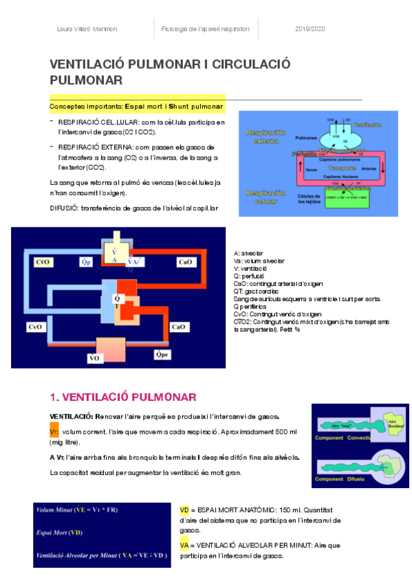 Miniatura del documento VENTILACIO-PULMONAR-I-CIRCULACIO-PULMONAR-.pdf