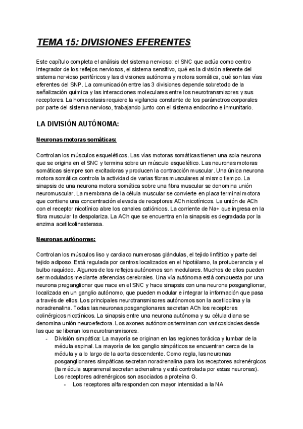 Miniatura del documento TEMA-15-DIVISIONES-EFERENTES.pdf