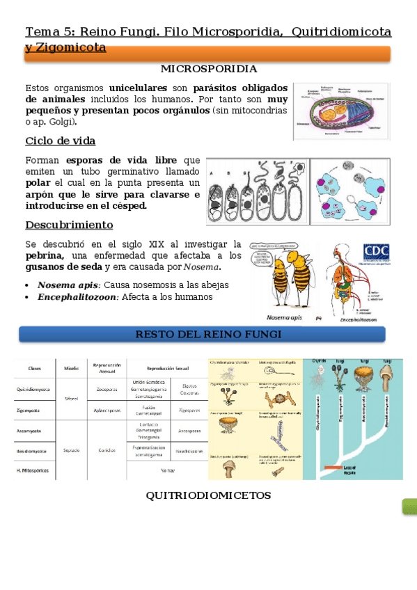 Miniatura del documento Tema-5.docx
