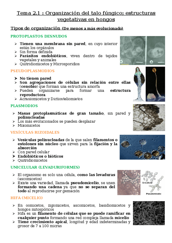 Miniatura del documento Tema-2.docx