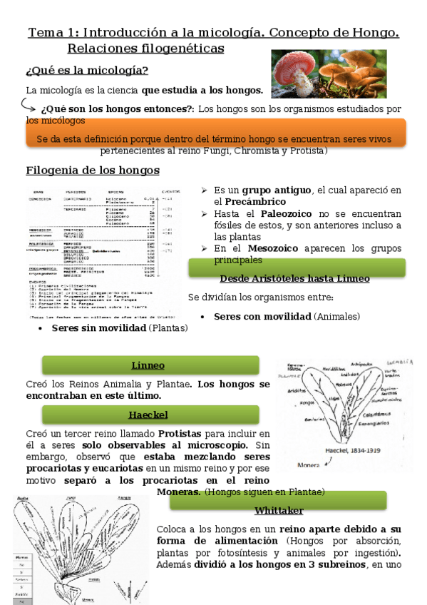Miniatura del documento Tema-1.docx