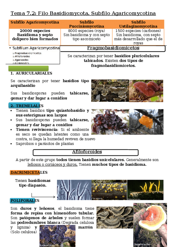 Miniatura del documento Tema-7.docx