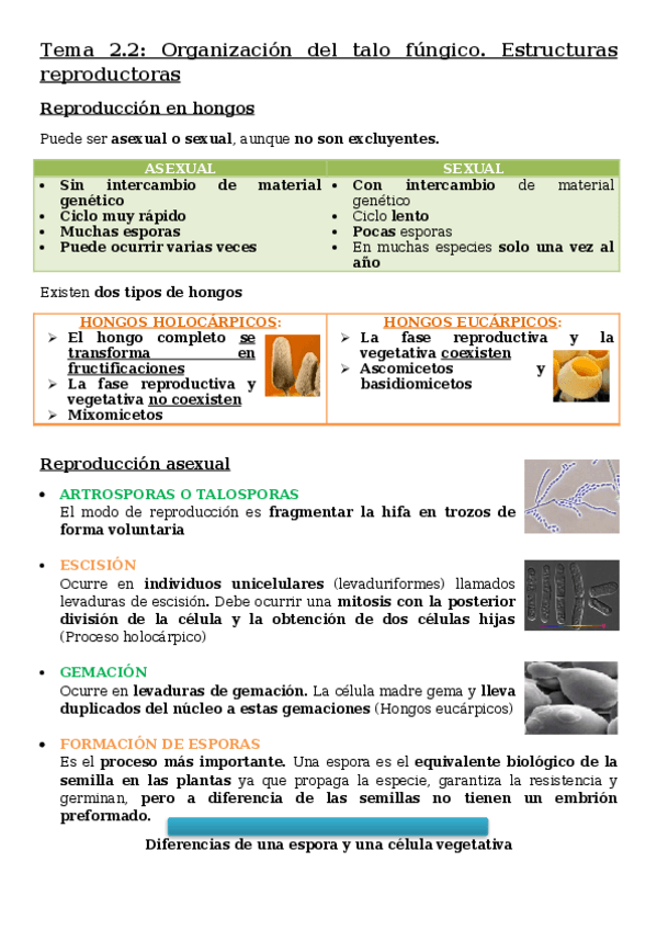 Miniatura del documento Tema-2.docx