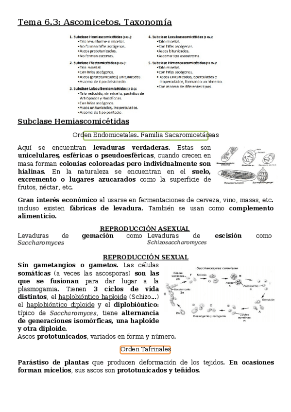 Miniatura del documento Tema-6.docx