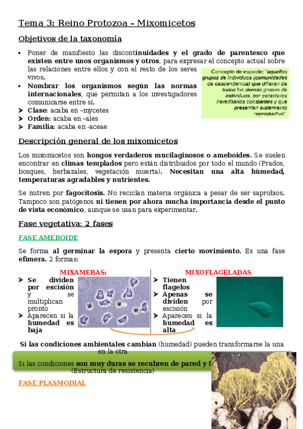 Miniatura del documento Tema-3.docx