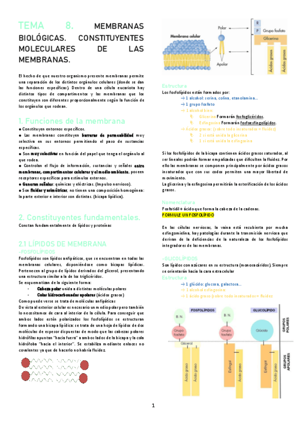 Miniatura del documento TEMA-8.pdf