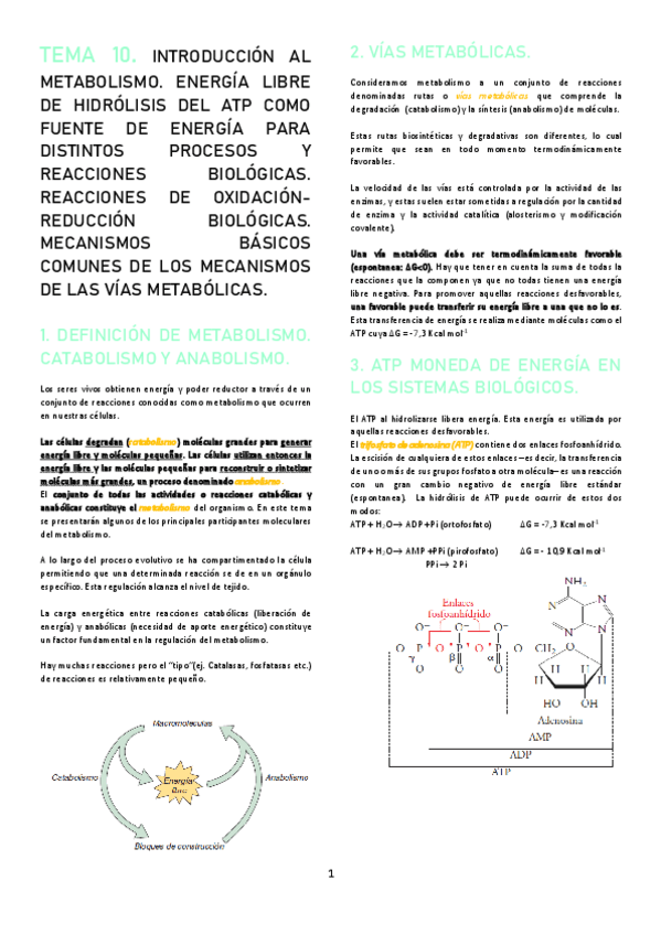 Miniatura del documento TEMA-10.pdf