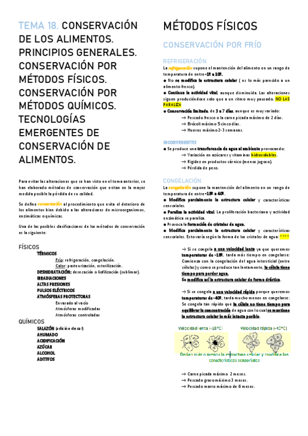 Miniatura del documento TEMA-18.pdf
