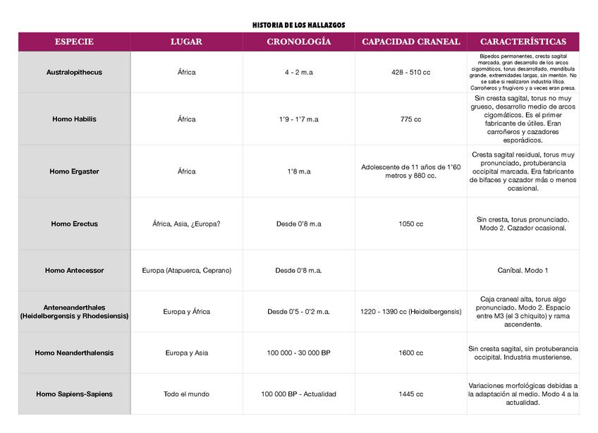 Miniatura del documento Historia-de-los-hallazgos-T5.pdf