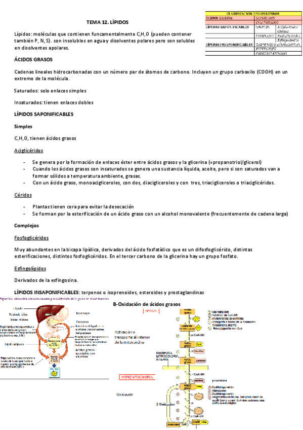Miniatura del documento tema-12.pdf