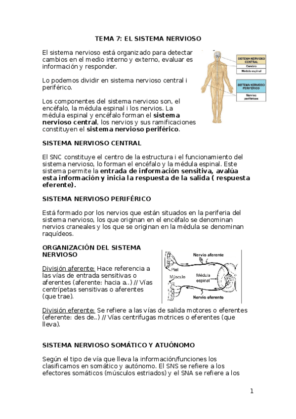 Miniatura del documento TEMA-7.docx