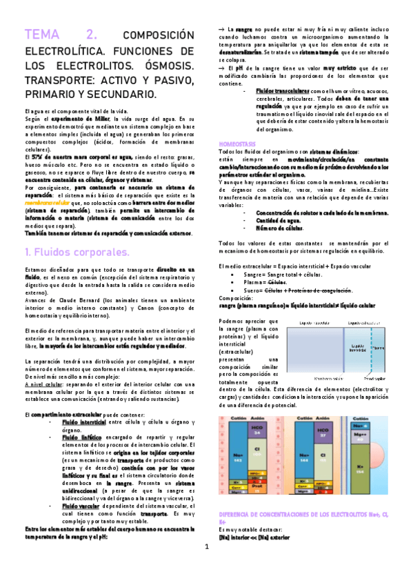Miniatura del documento TEMA-2.pdf