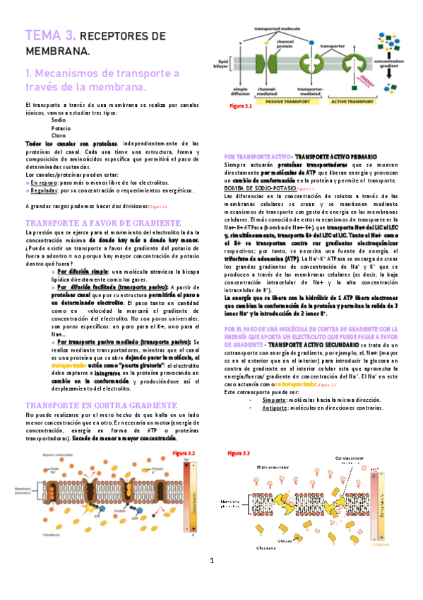 Miniatura del documento TEMA-3.pdf