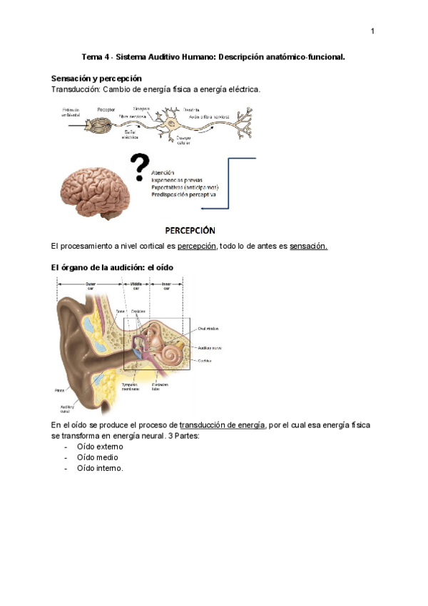 Miniatura del documento APUNTES-SAH-T4.pdf