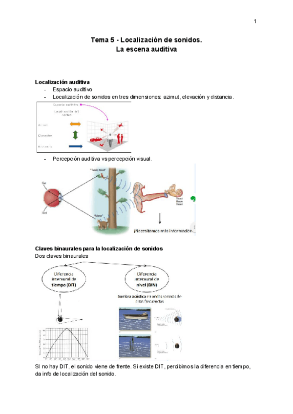 Miniatura del documento Tema-5-Apuntes.pdf