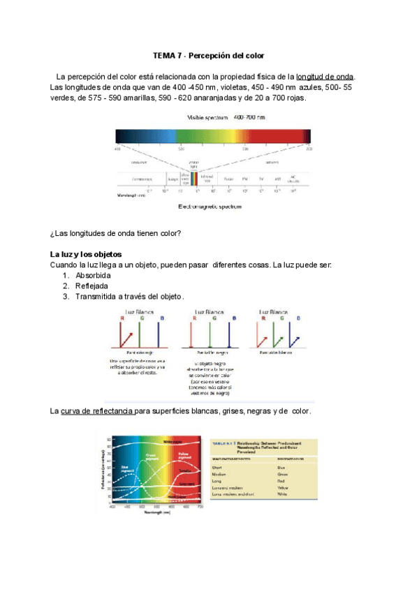 Miniatura del documento TEMA-7-PERCEPCION-DEL-COLOR.pdf