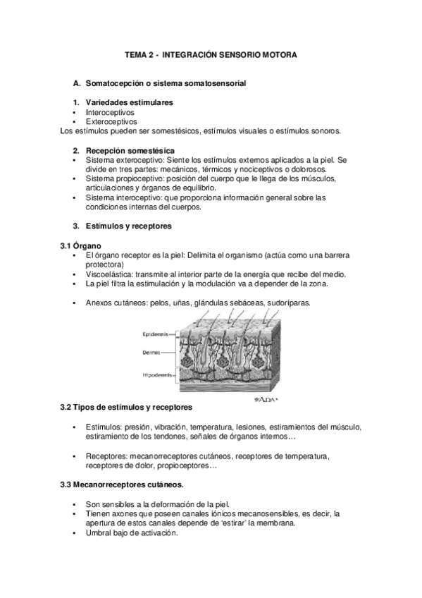 Miniatura del documento TEMAS-2-Y-3-.docx