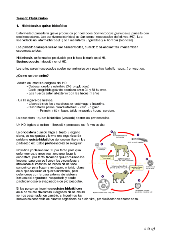 Miniatura del documento Tema-3-Bilogia-Cyta-1o.pdf