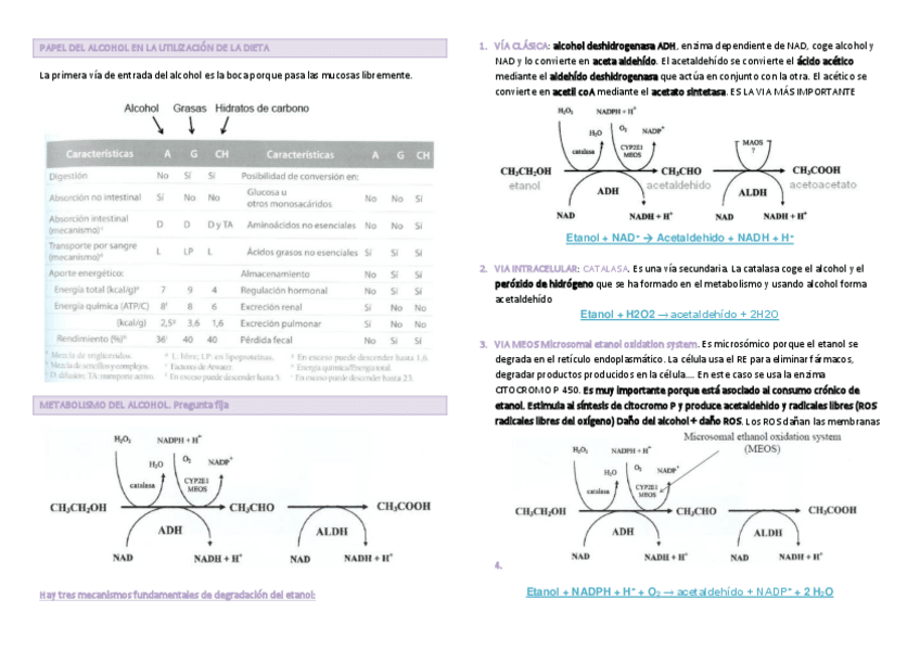 Miniatura del documento TEMA 6. El alchol.pdf