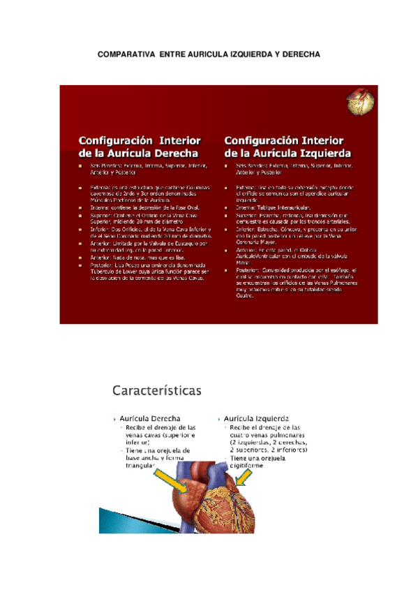 Miniatura del documento COMPARATIVA-ENTRE-AURICULA-IZQUIERDA-Y-DERECHA.docx
