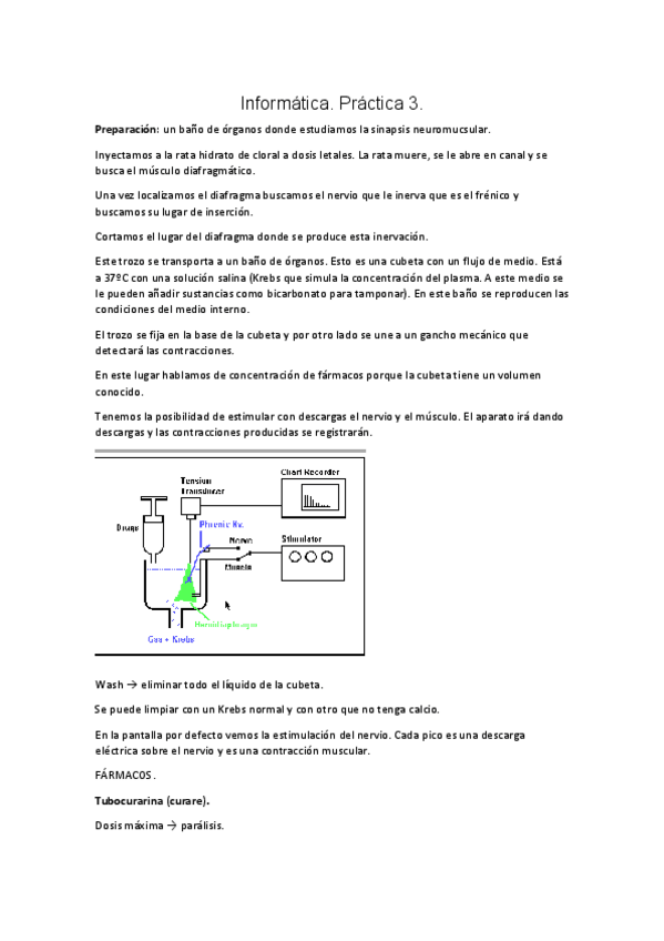 Miniatura del documento Informatica-3.pdf