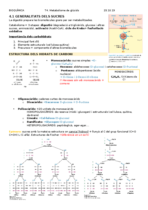 Miniatura del documento BLOC-IV.docx