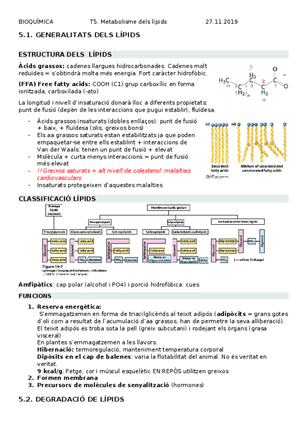 Miniatura del documento T5.docx