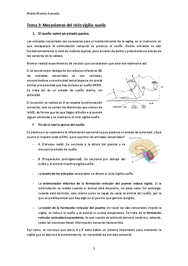 Miniatura del documento Tema-3.pdf