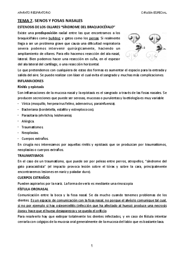 Miniatura del documento TEMA-7.pdf
