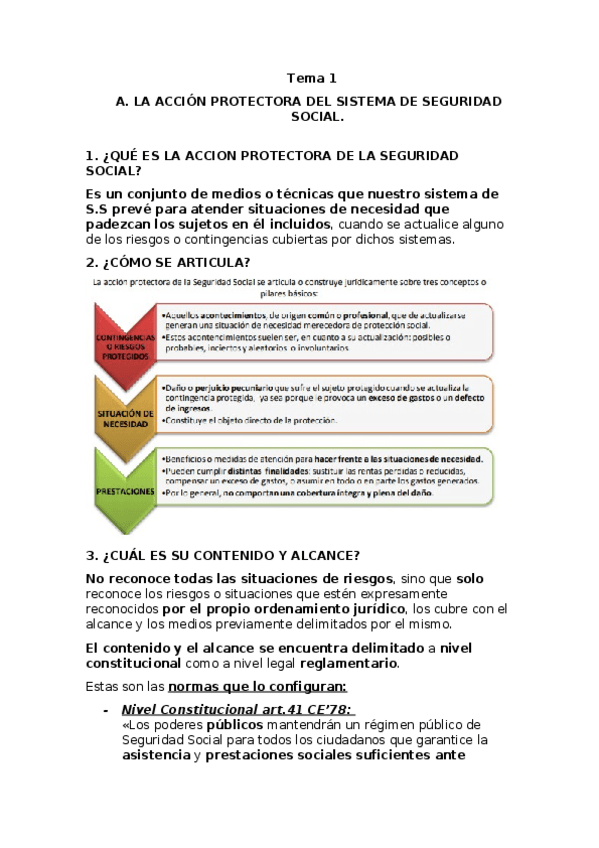 Miniatura del documento RESUMEN-DEL-TEMA-1-DE-S.docx