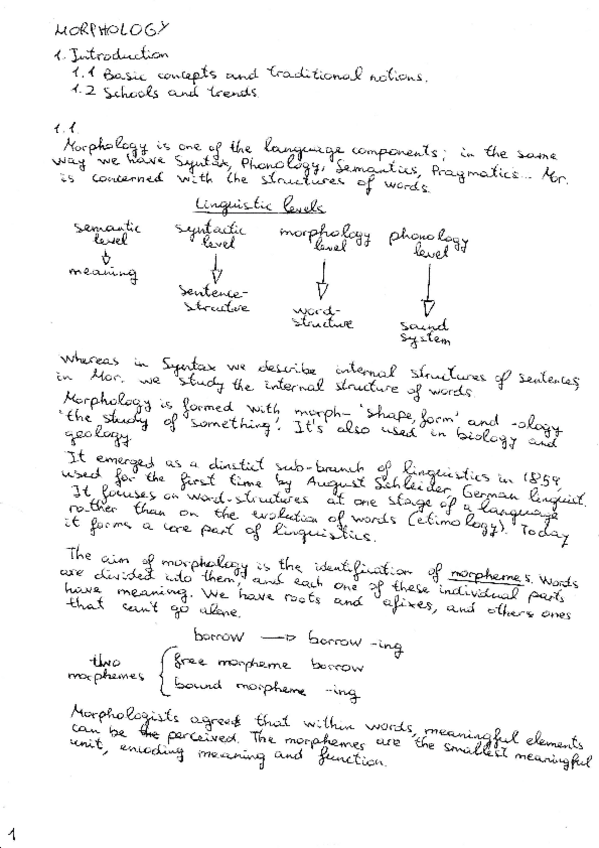 Miniatura del documento MORPHO-NOTES.pdf