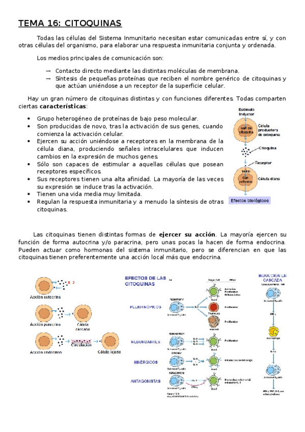 Miniatura del documento TEMA-16.docx