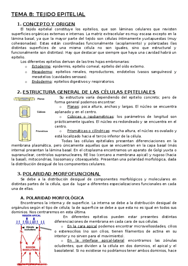 Miniatura del documento TEMA-8-TEJIDO-EPITELIAL.docx
