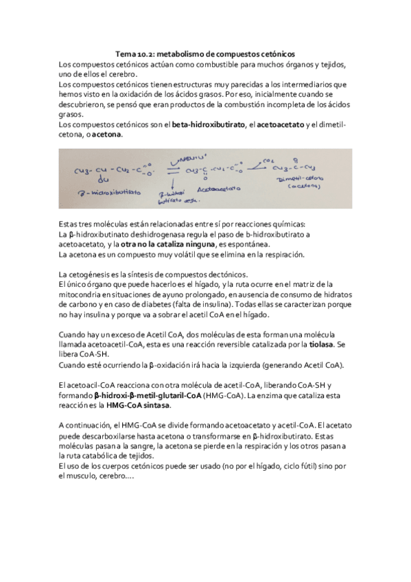 Miniatura del documento Tema-10.pdf