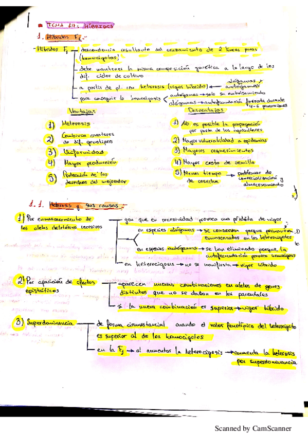 Miniatura del documento Tema-14-Genetica.pdf