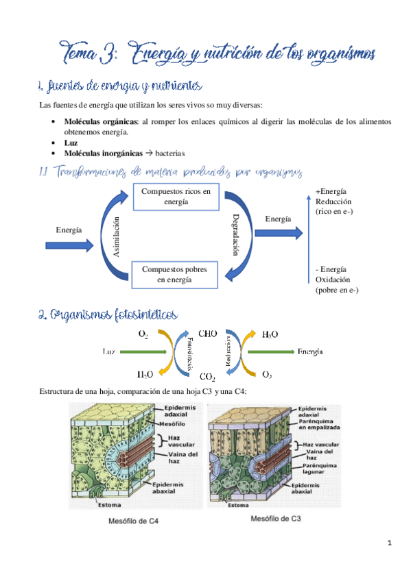 Miniatura del documento Tema-3.pdf