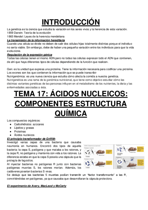 Miniatura del documento TEMA-1ACIDOS-NUCLEICOS.pdf