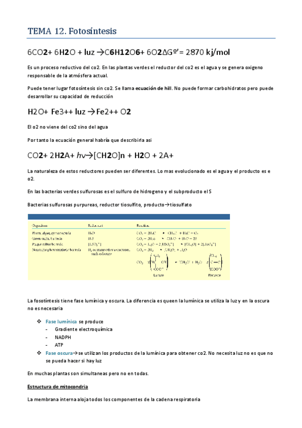 Miniatura del documento FOTOSÍNTESIS.pdf