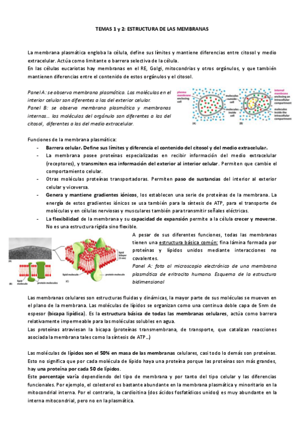 Miniatura del documento temas 123.pdf