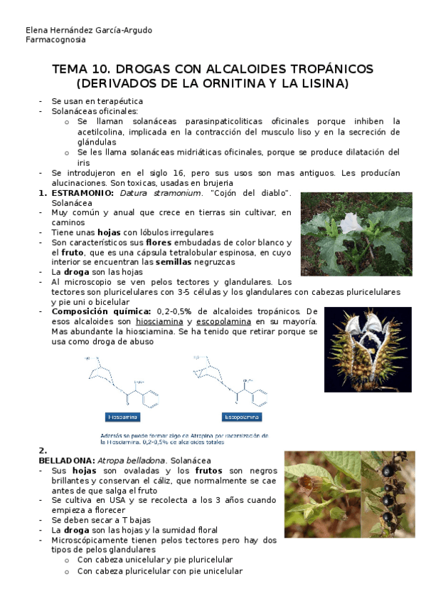 Miniatura del documento apuntes-tema-10.docx